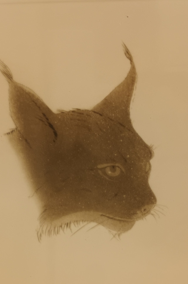 Grafiikka,Pentti Lumikangas signeerattu