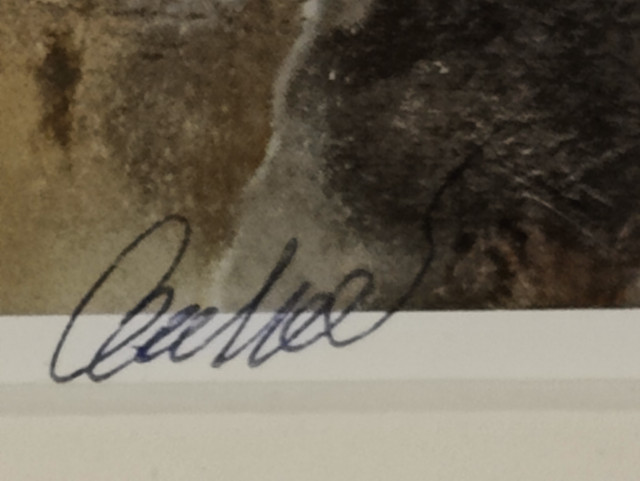 Olli Joki signeerattu taidekuva