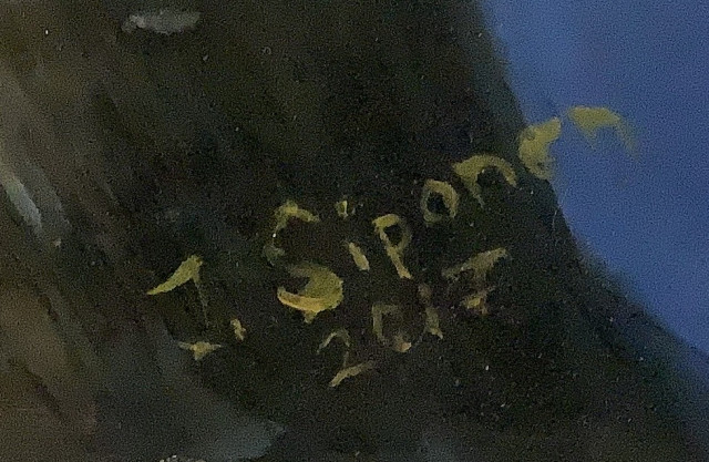 Keraamiselle levylle maalattu lunni