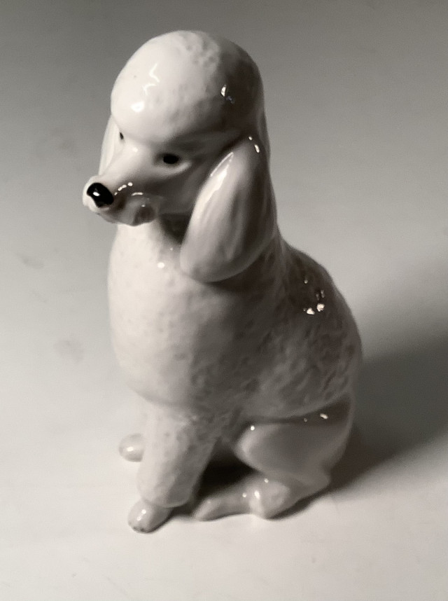 Posliinikoira Lomonosov