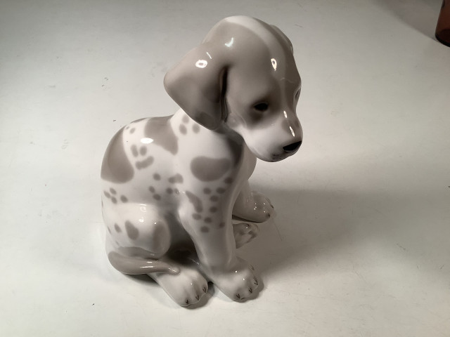 Lomonossov Koira, posliini