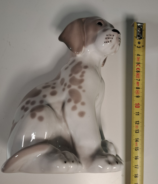 Lomonosov koira USSR