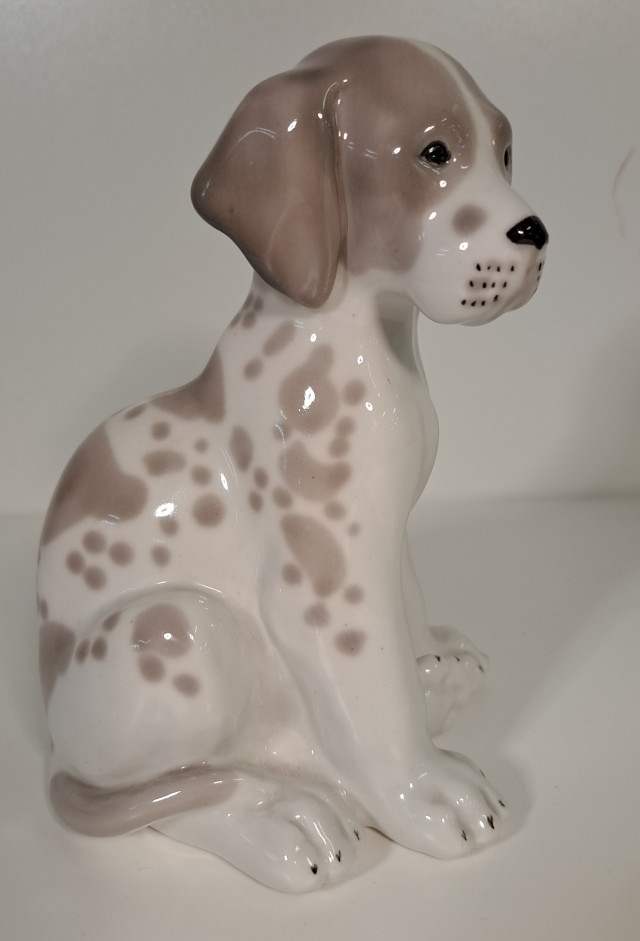 Lomonosov koira USSR