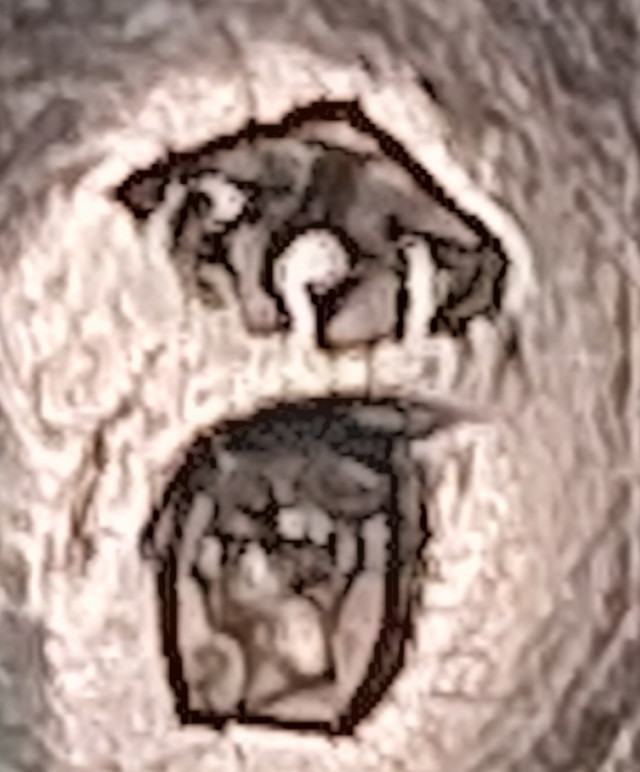 Hopeinen Kermakko Venäjä 1800 luku