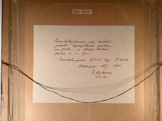 Maria Wiikin punaliitupiirros 1901