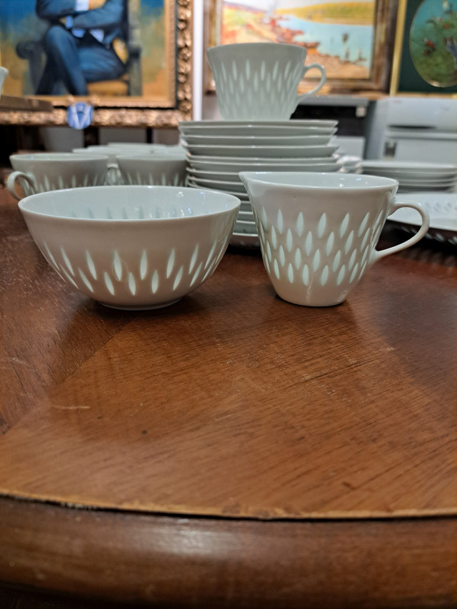 Arabian riisiposliiniastiasto