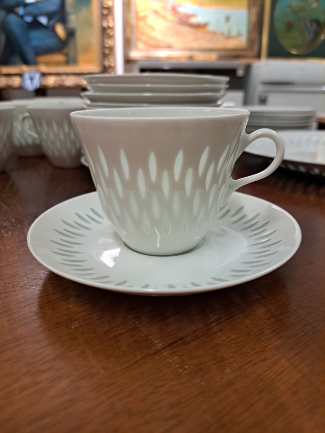 Arabian riisiposliiniastiasto