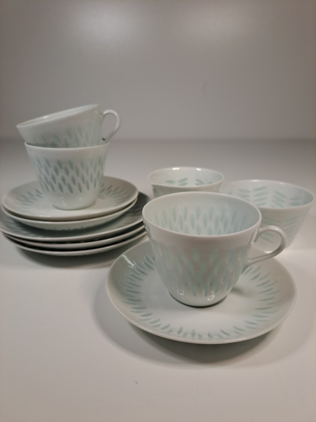 Arabia riisiposliiniastiat