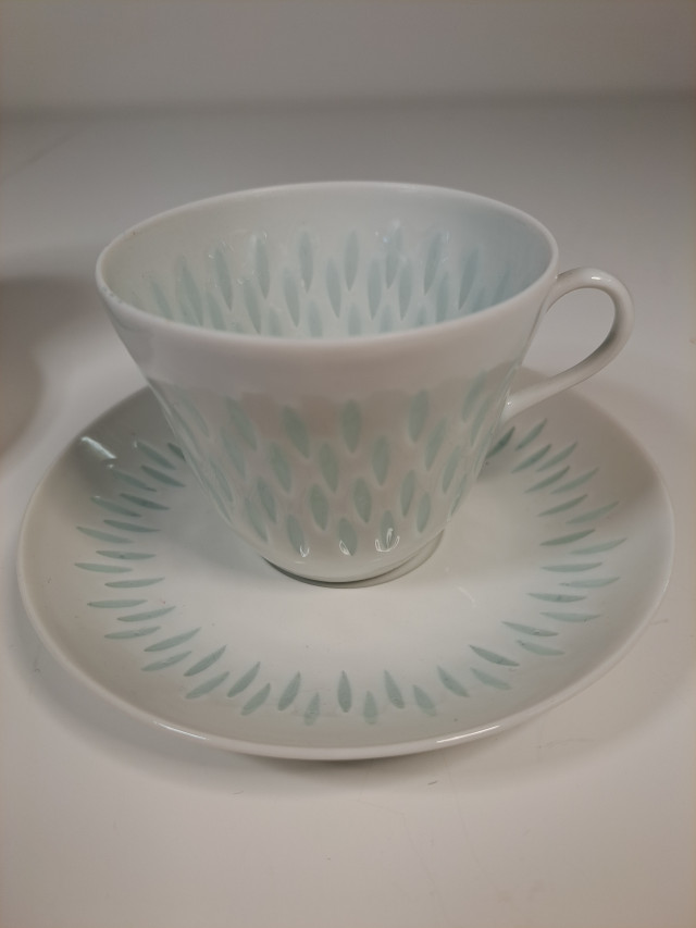 Arabia riisiposliiniastiat