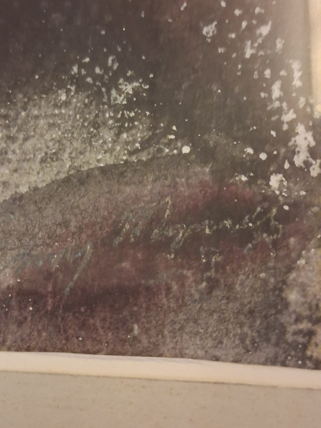 Eemu Myntti  1922.  ”Tytön pää”signeerattu