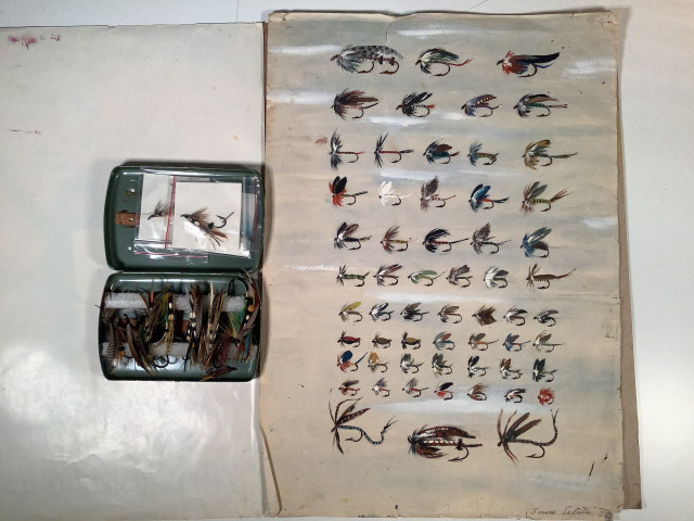 Perhotaulu ja rasiallinen perhoja