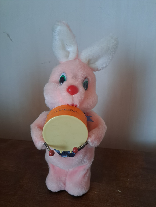 Kaksi Duracell pupua