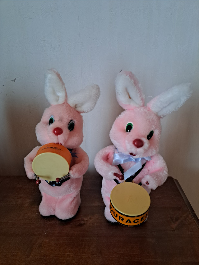 Kaksi Duracell pupua