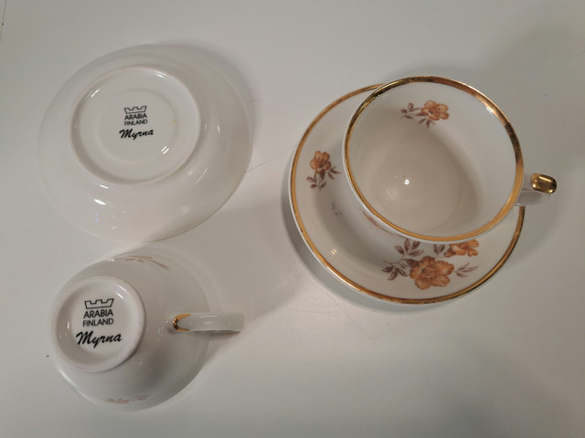 Arabian Myrna kuppipari