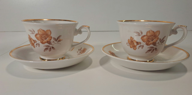 Arabian Myrna kuppipari