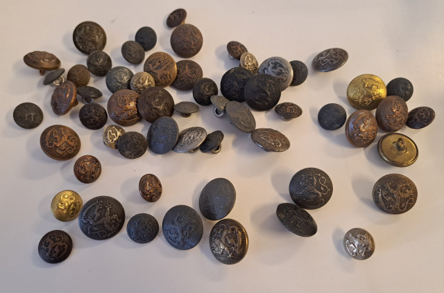 Kasa puolustusvoimien leijona nappeja