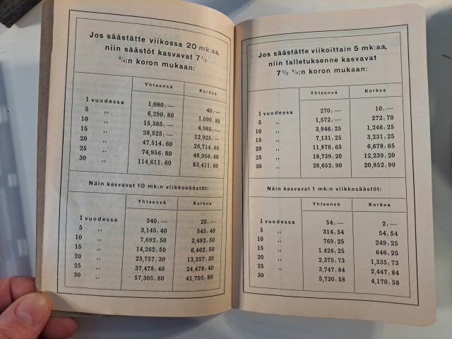 Markkojen historia tilikirja vuodelta 1929, täyttämätön