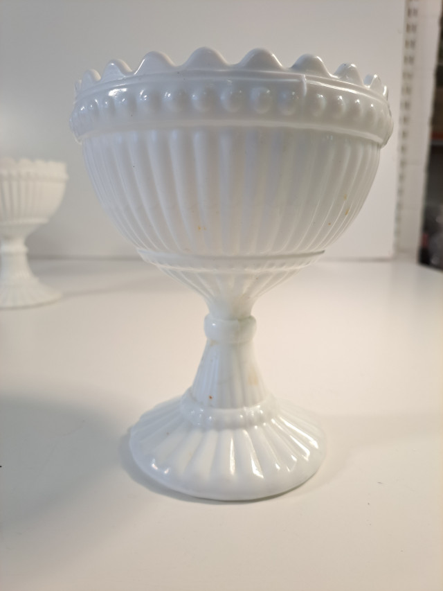 Valkoinen Mariskooli