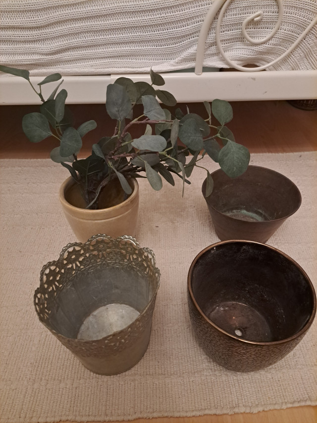 Suojaruukut ja eukalyptuksen oksat