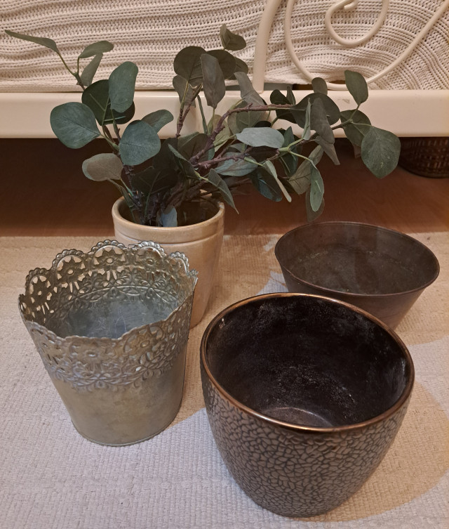 Suojaruukut ja eukalyptuksen oksat