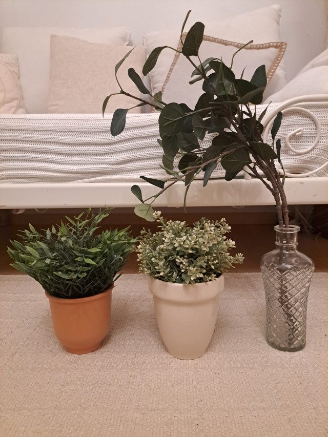 Tekokasvit, ruukut ja maljakko