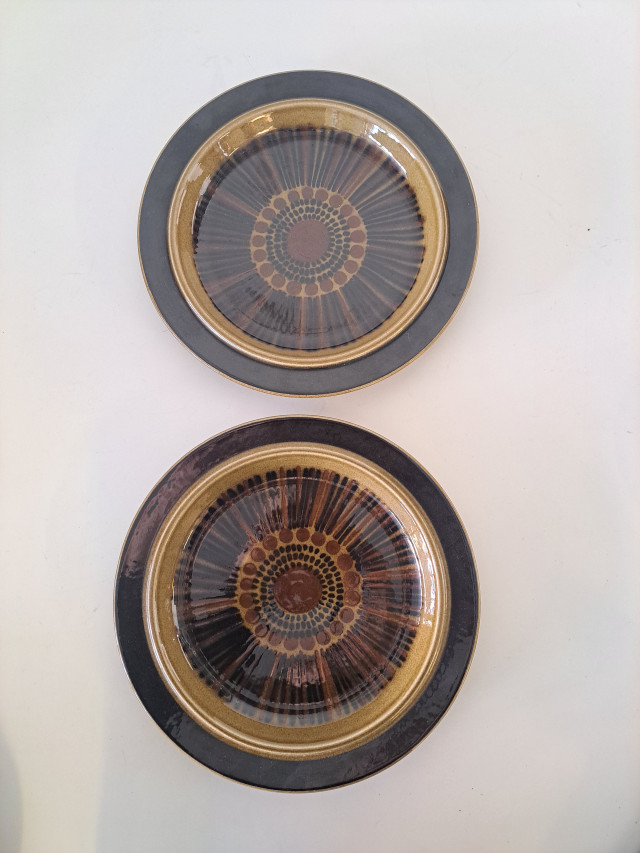 Arabian Kosmos ruokalautaset 2 kpl