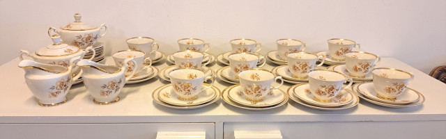 Arabian Myrna astiasto