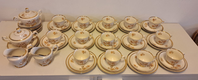 Arabian Myrna astiasto