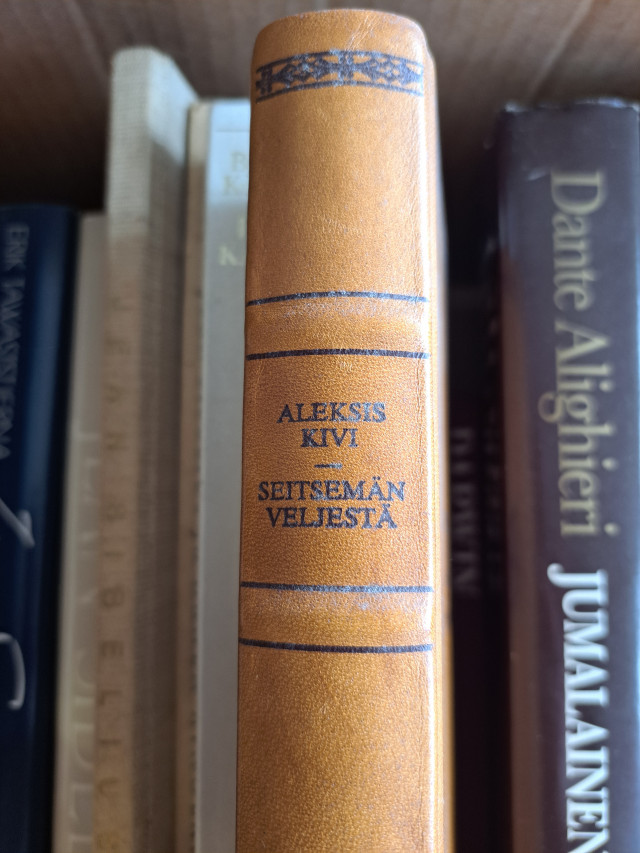 Kirjoja mm. Tavastjerna Jean Sibelius kirjoja, Dante Jumalainen näytelmä, Maailman taiteen historia ym