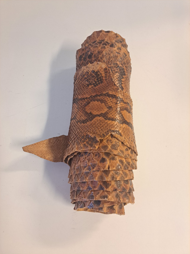 Kalliopythonin nahka