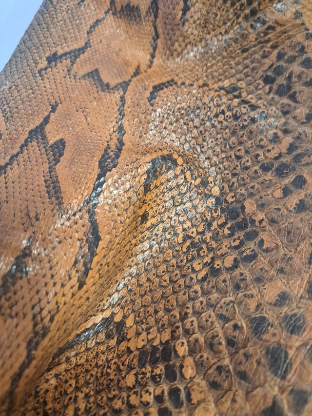 Kalliopythonin nahka