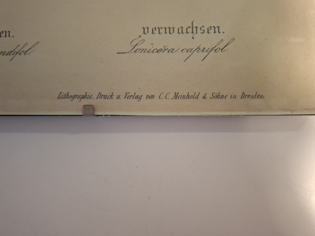 Vanha opetustaulu