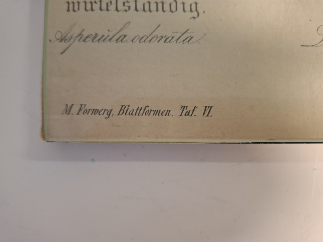 Vanha opetustaulu