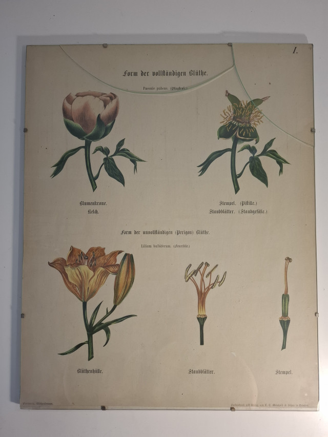 Vanha opetustaulu