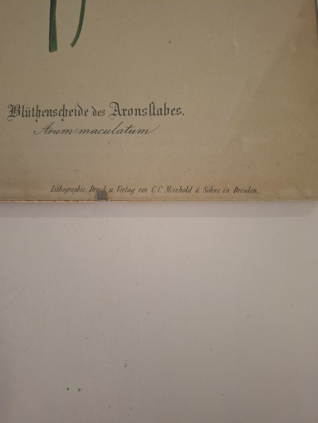 Vanha opetustaulu