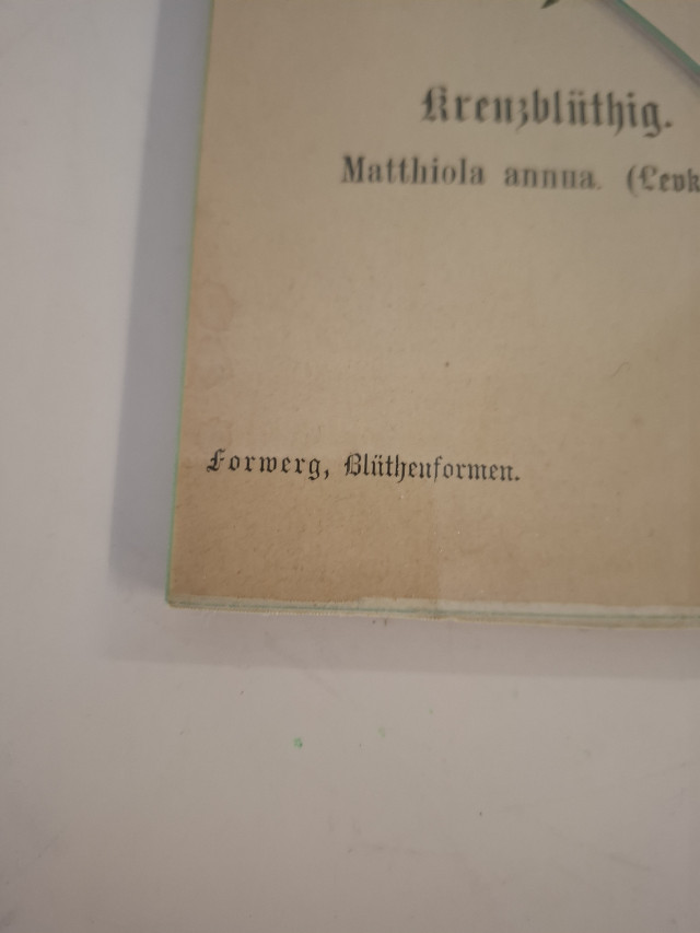 Vanha opetustaulu