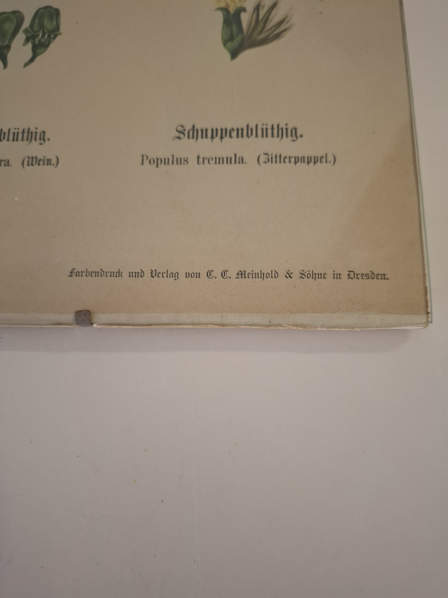 Vanha opetustaulu