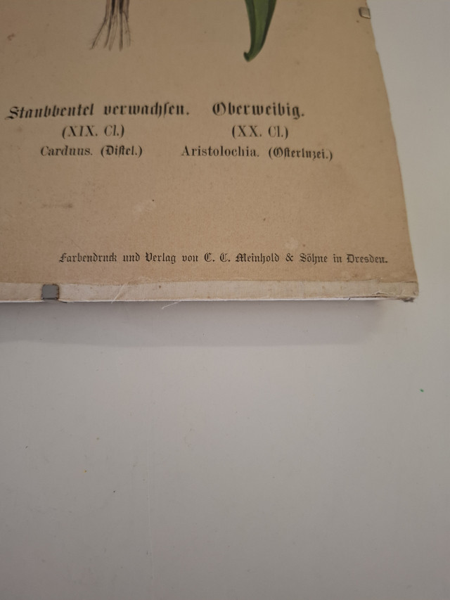 Vanha opetustaulu