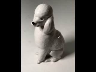 Posliinikoira Lomonosov