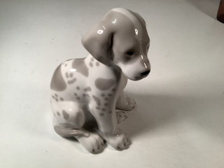 Lomonossov Koira, posliini