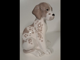 Lomonosov koira USSR