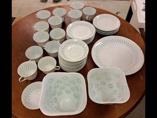 Arabian riisiposliiniastiasto