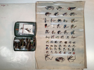 Perhotaulu ja rasiallinen perhoja