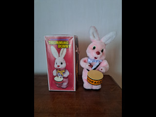 Kaksi Duracell pupua