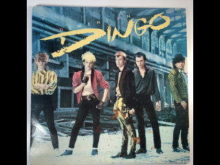 Nimeni on Dingo. Lp-levy