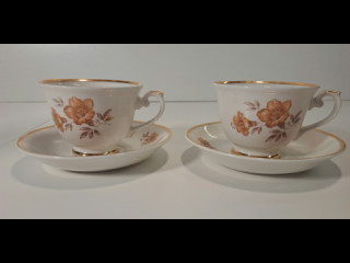 Arabian Myrna kuppipari