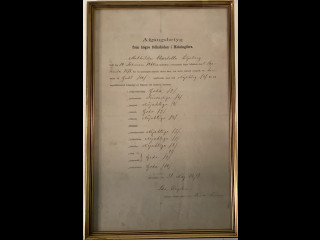 Vanha todistus vuodelta 1879