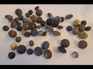 Kasa puolustusvoimien leijona nappeja