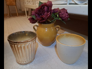 Suojaruukut ja tekopionit