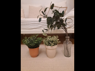 Tekokasvit, ruukut ja maljakko